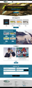Internet Dominators web development sample