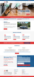 Internet Dominators web development sample